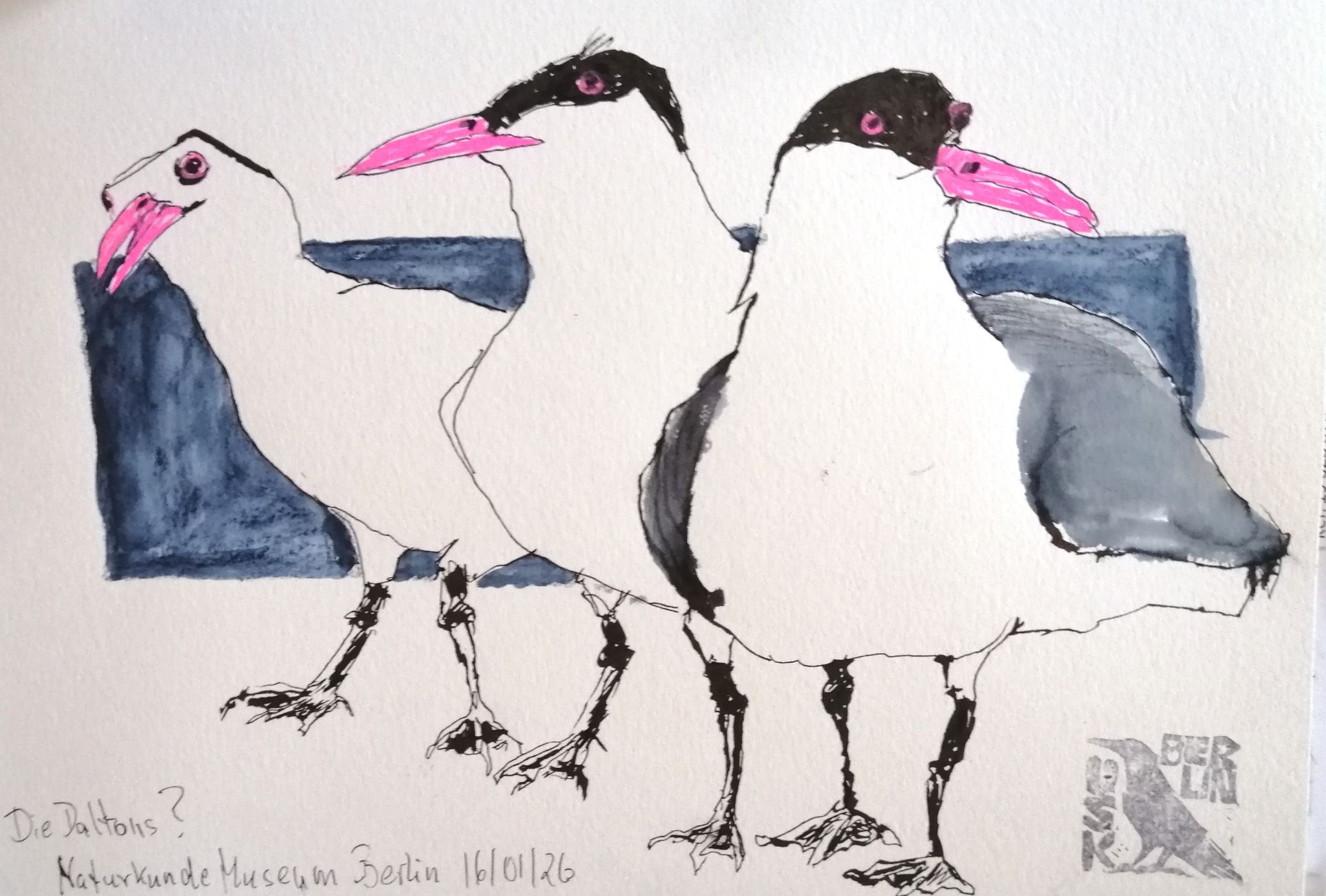 3. Feb. 2026 | Zeichnen im Naturkundemuseum